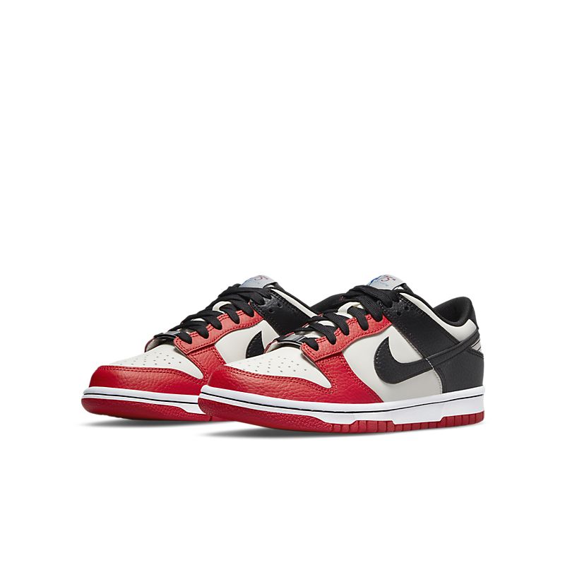 NIKE DUNK LOW NBA 75