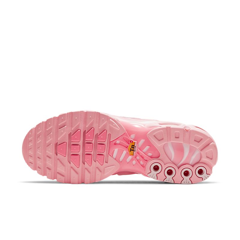 AIR MAX PLUS ATLANTA