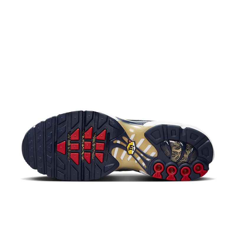 AIR MAX PLUS FFF
