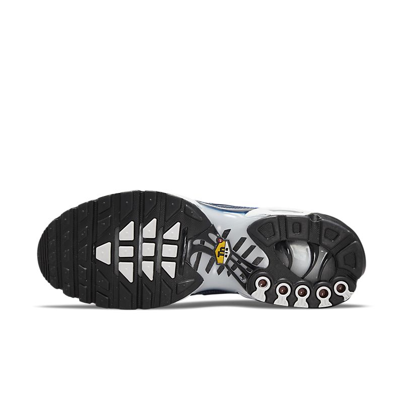 AIR MAX PLUS ICE